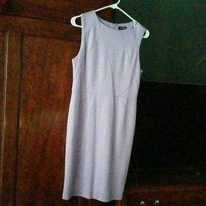 The Limited Classic Mauve Dress Sz 6. Lined, 38" length.